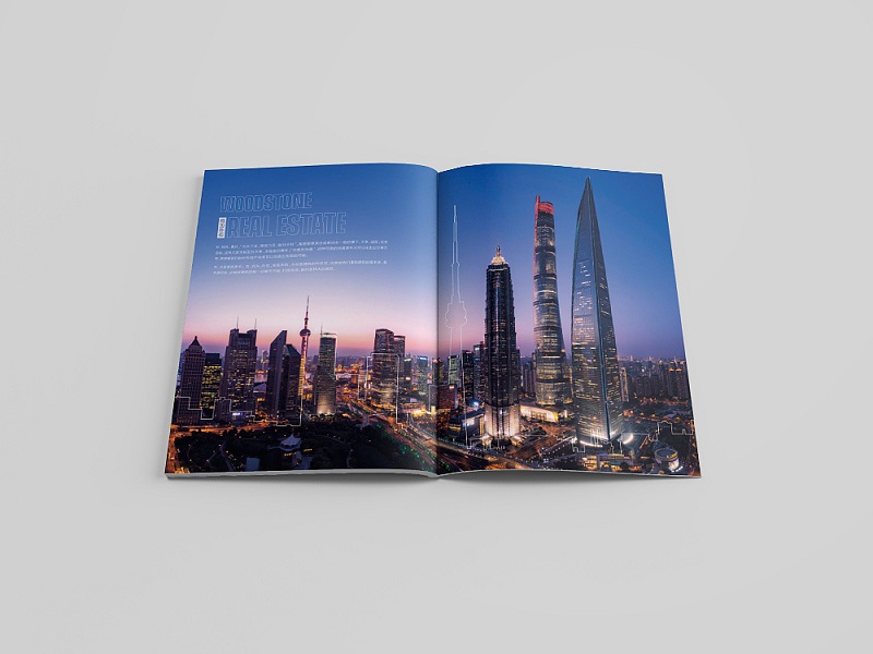 房地產(chǎn)公司畫(huà)冊(cè)設(shè)計(jì)-房地產(chǎn)公司宣傳冊(cè)設(shè)計(jì)圖片2